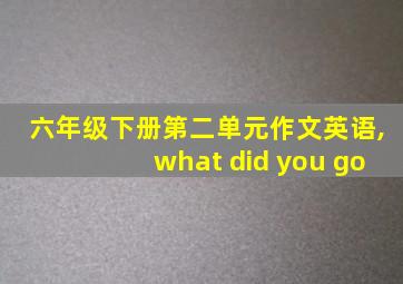 六年级下册第二单元作文英语,what did you go